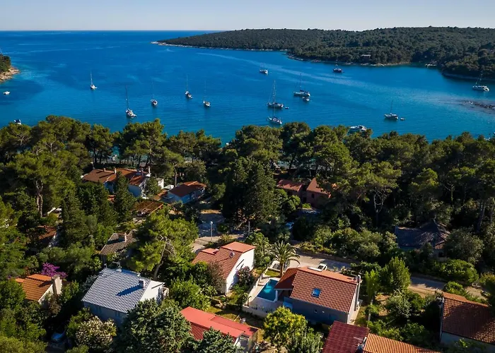 Vila Artaturi *